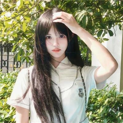 山狗
