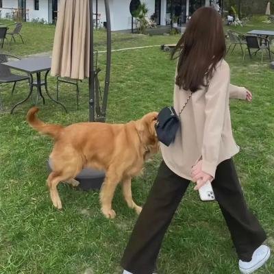 热裤荡女